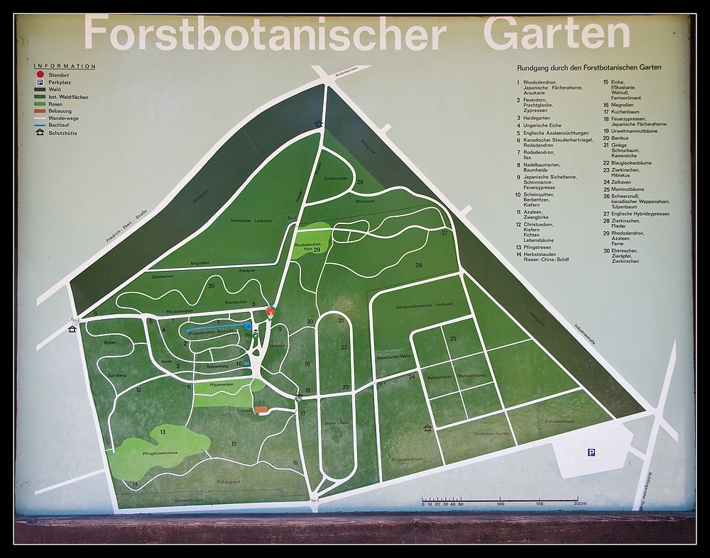 Wetterzentrale Forum Bilder Und Videos Im Forstbotanischen